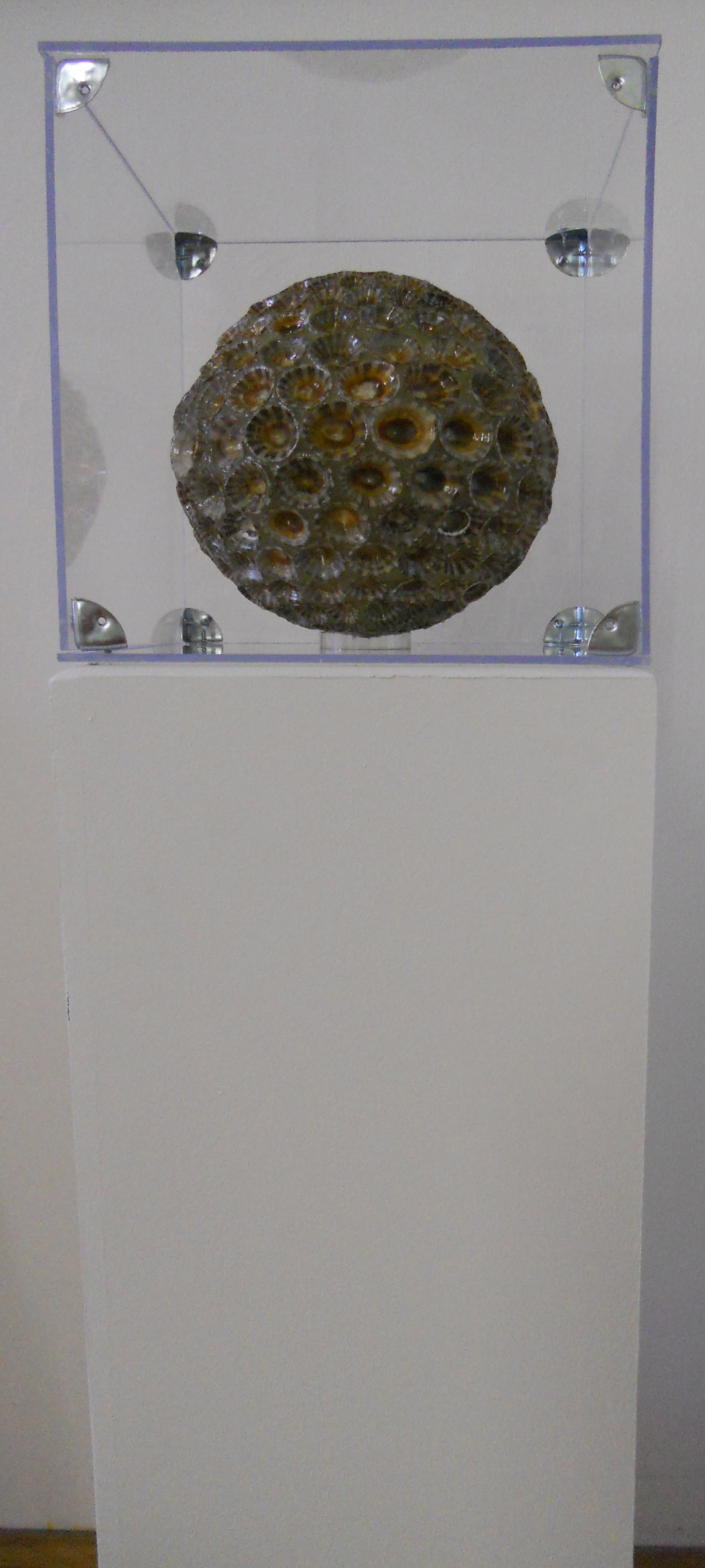 MW 08 (Hohe Aufl&ouml;sung)